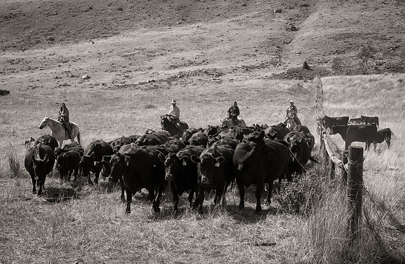 Bonanno_WY_194