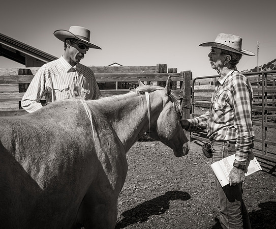 Bonanno_WY_253  -  Dusty with Dave, the Brand Inspector