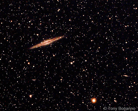 NGC 891 Galaxy
