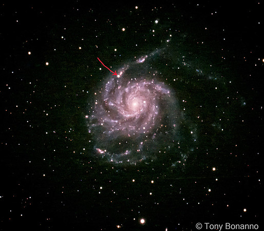 SuperNova in M101 - The Pinwheel Galaxy