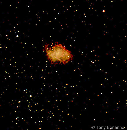M1 - The Crab Nebula