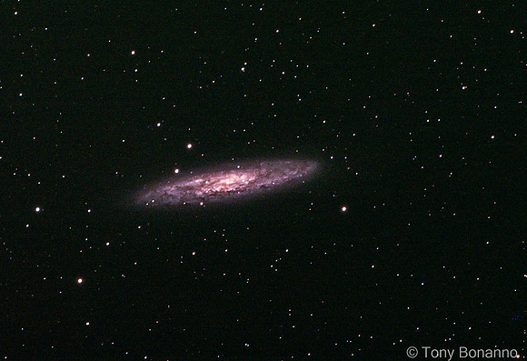 NGC 253 - The Sculptor Galaxy