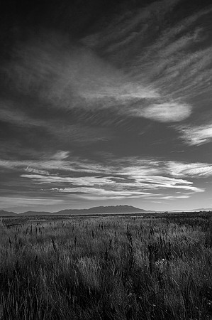 charlie_lieberman_08