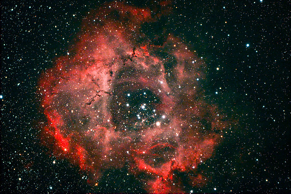 NGC 2238 - The Rosette Nebula