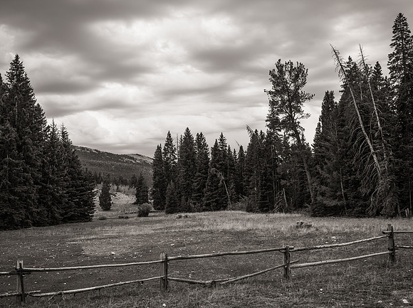 Bonanno_WY_163