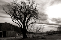 Lamy Station, New Mexico