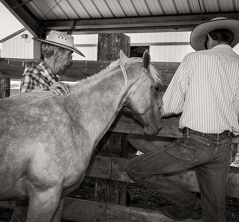 Bonanno_WY_251  -  Dave, the Brand Inspector (left)
