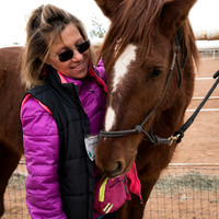 The Horse Shelter