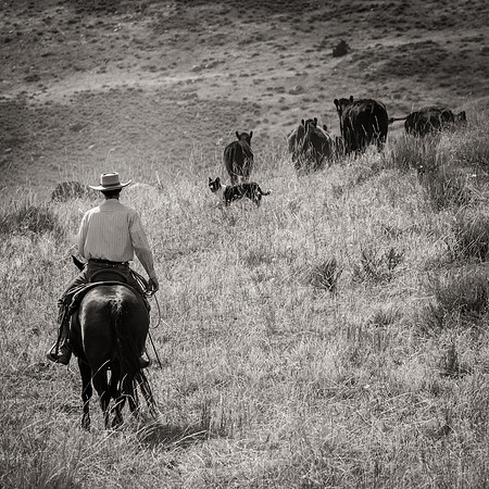Bonanno_WY_167