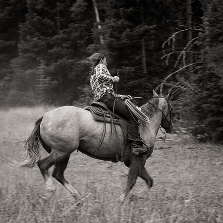 Bonanno_WY_160