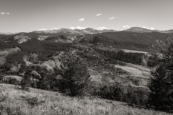 Bonanno_WY_126