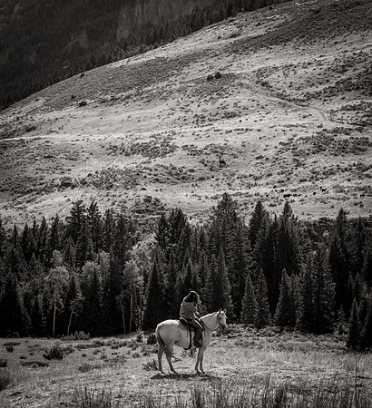 Bonanno_WY_181