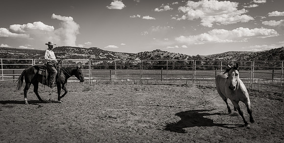 Bonanno_WY_203