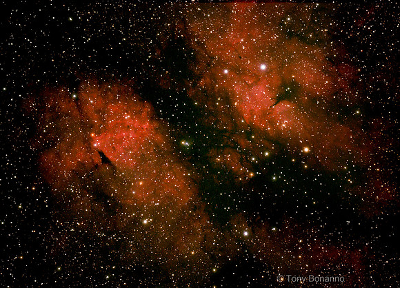 IC 1318 - The Butterfly Nebula