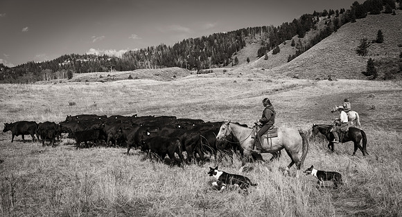 Bonanno_WY_235