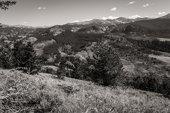 Bonanno_WY_127