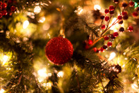Christus St. Vincent's Holiday Party - 2017