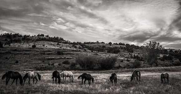 Bonanno_WY_107