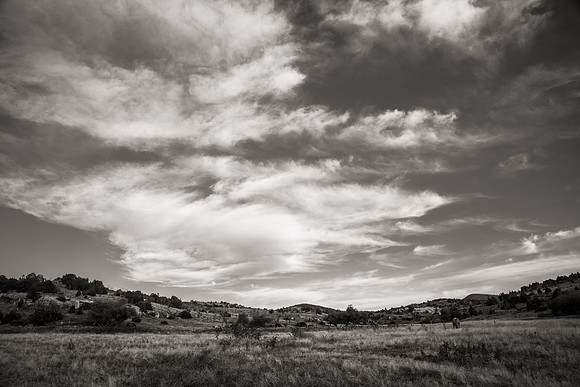 Bonanno_WY_100